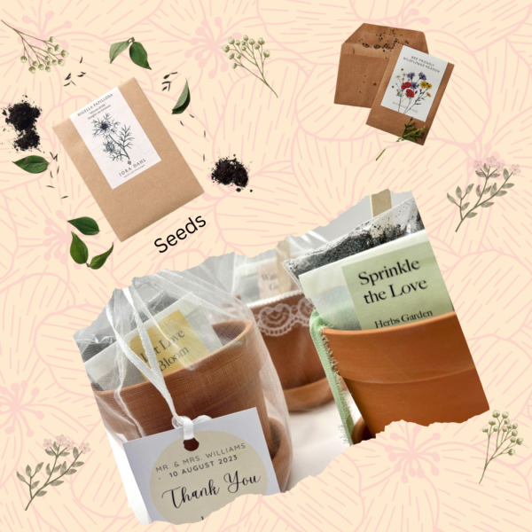 Eco Friendly Return Gift | Lenspop.in