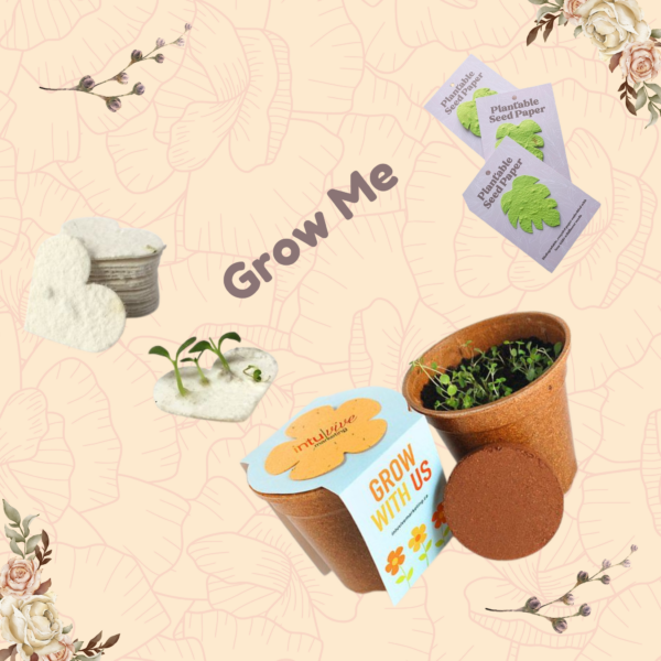 Eco Friendly Return Gift | Lenspop.in