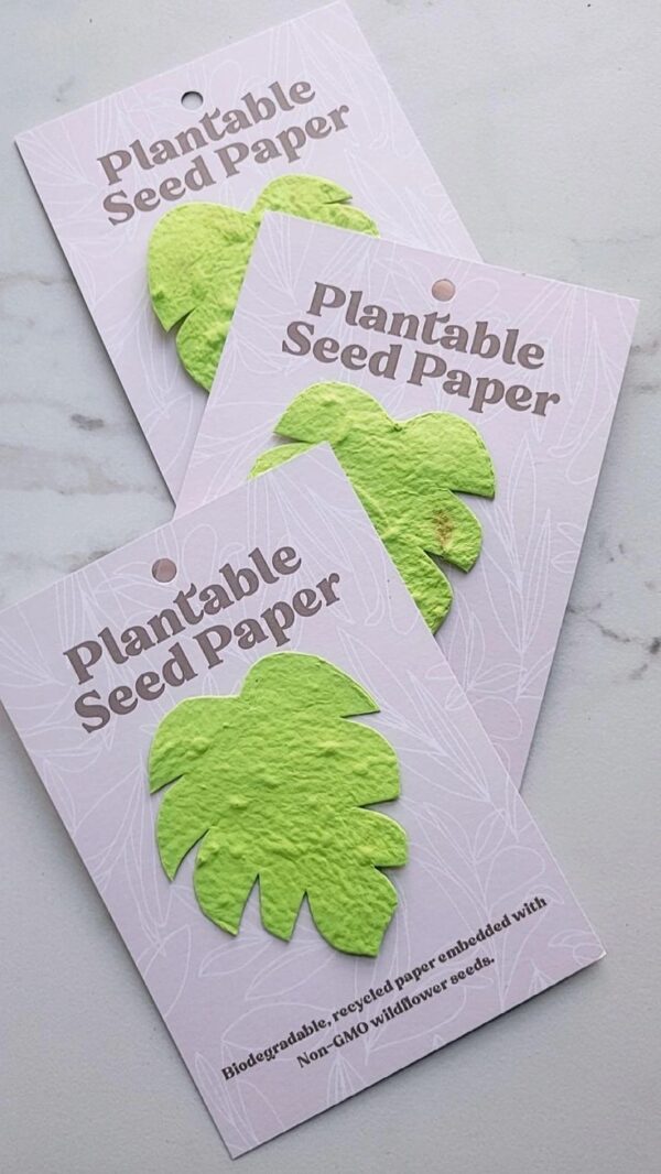 Eco Friendly Return gift | Lenspop.in - Image 6