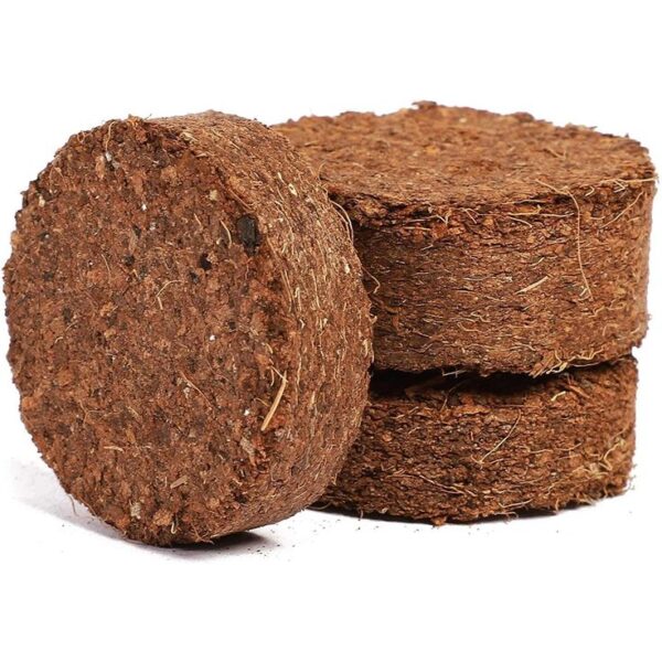 Eco Friendly Return Gift | Lenspop.in - Image 7